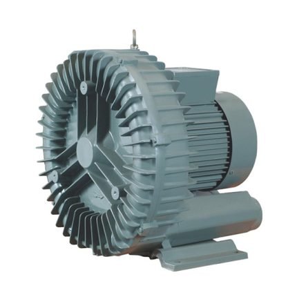 Ring Blower Pump
