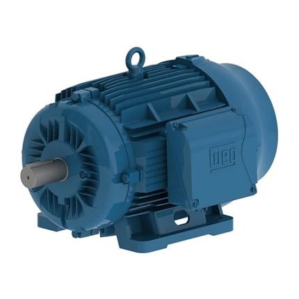 WEG W22 Tru-Metric IE3