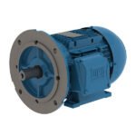 WEG Multimounting IEC Motor
