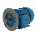 WEG Multimounting IEC Motor