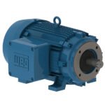 WEG Motor W21 Explosion Proof NEMA Premium Efficiency