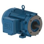 WEG Motor W21 Explosion