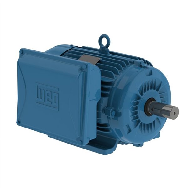 2 WEG Motor W22
