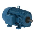 W21 Explosion-proof Motor NEMA