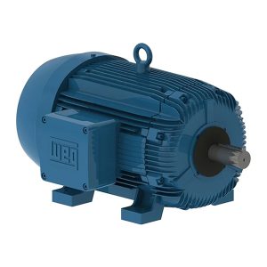 W21 Explosion-proof Motor NEMA