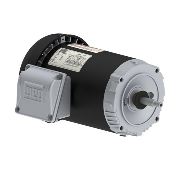2 WEG Rolled Steel Motor