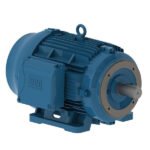 WEG Motor W22
