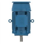 WEG Motor W21 Explosion