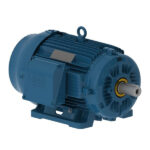WEG W22 IEEE 841 NEMA Premium Efficiency – 15 HP