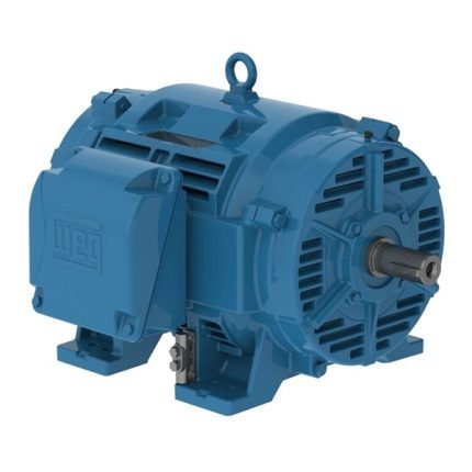 WEG Motor W40