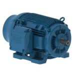 WEG Motor W22