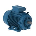 WEG Motor W22