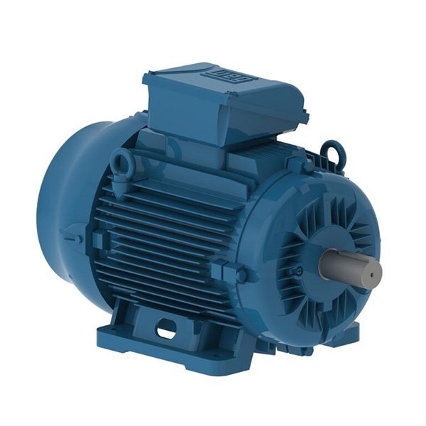 3 WEG Motor W22