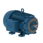 WEG Motor W21 Explosion