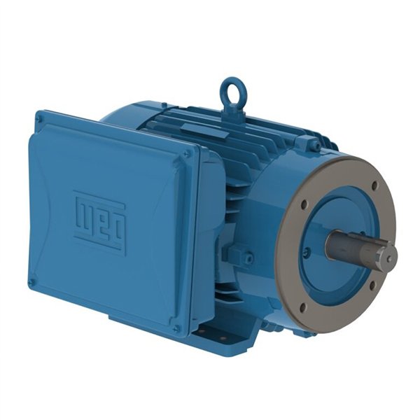 4 WEG Motor W22