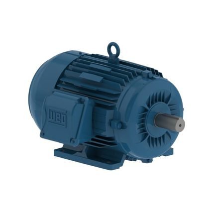 WEG Motor W22