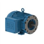WEG Motor W21 Explosion