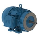WEG W22 Close Coupled Pump JM NEMA