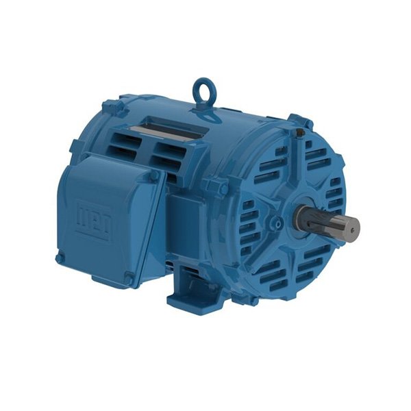 6 WEG Motor W40