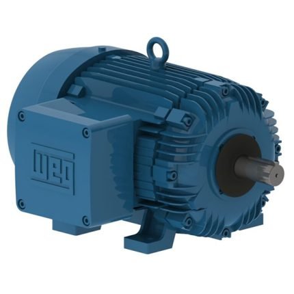 WEG Motor W21