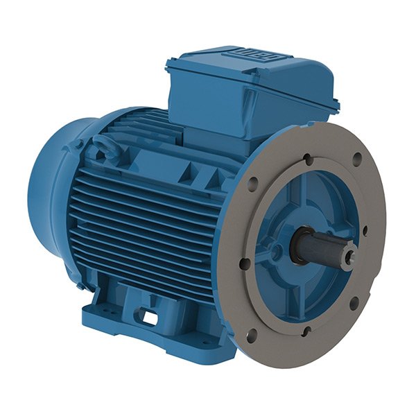 7 WEG Multimounting IEC Motor
