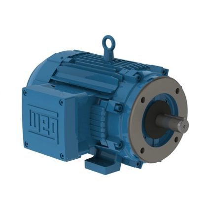 WEG Motor W21