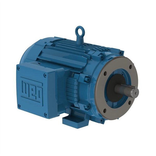 7 WEG Motor W21