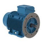 WEG Multimounting IEC Motor