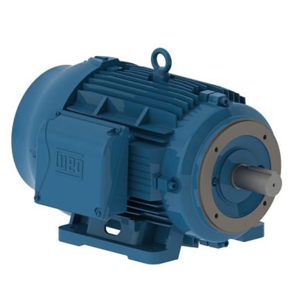 WEG Motor W22