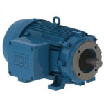 WEG Motor W21 Explosion Proof NEMA Premium Efficiency