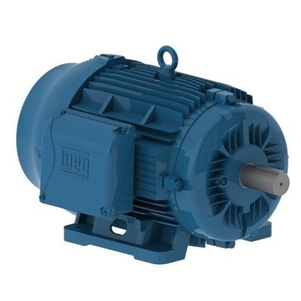 WEG Motor W22